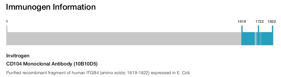 CD104 Monoclonal Antibody (10B10D5)