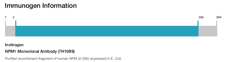 NPM1 Monoclonal Antibody (7H10B9)