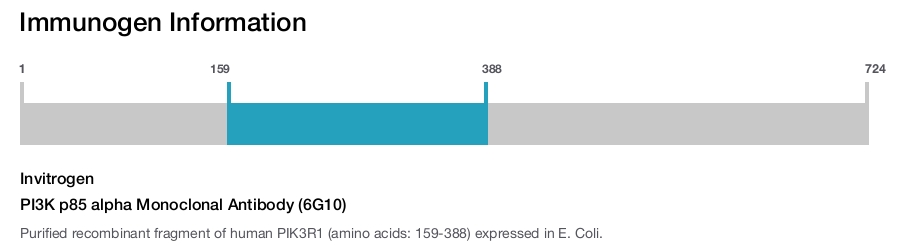 PI3K p85 alpha Monoclonal Antibody (6G10)