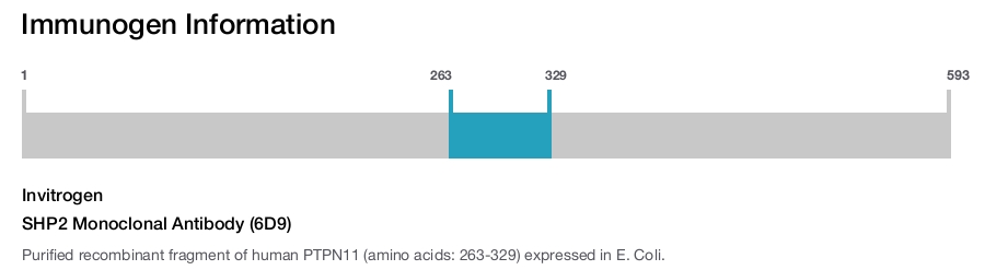 SHP2 Monoclonal Antibody (6D9)