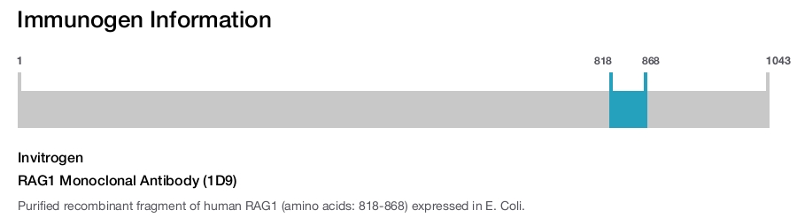 RAG1 Monoclonal Antibody (1D9)