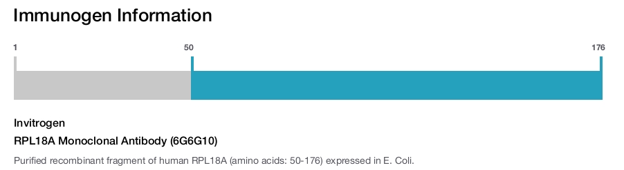 RPL18A Monoclonal Antibody (6G6G10)