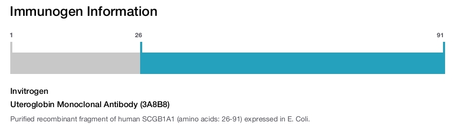 Uteroglobin Monoclonal Antibody (3A8B8)