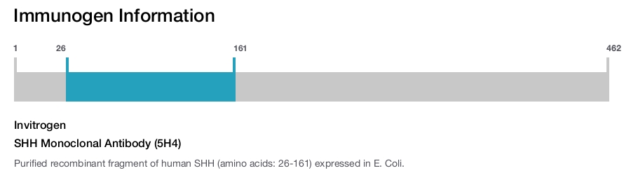 SHH Monoclonal Antibody (5H4)