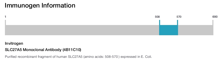 SLC27A5 Monoclonal Antibody (4B11C10)