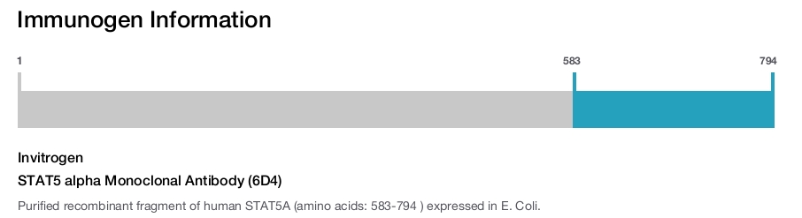 STAT5 alpha Monoclonal Antibody (6D4)