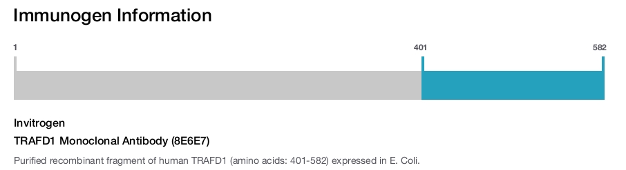 TRAFD1 Monoclonal Antibody (8E6E7)