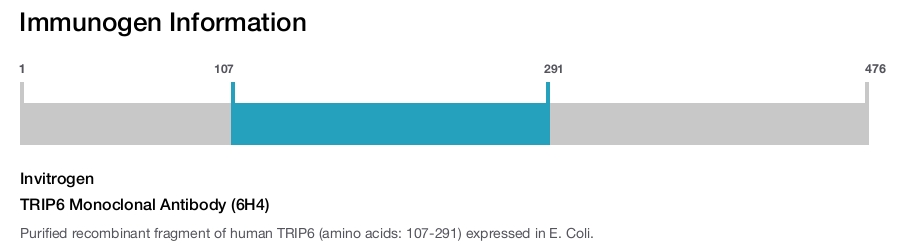 TRIP6 Monoclonal Antibody (6H4)