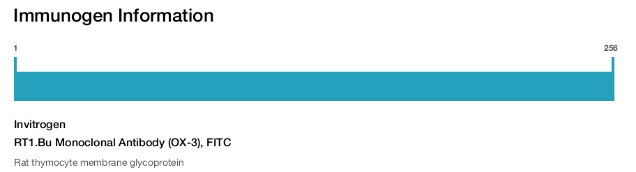 RT1.Bu Monoclonal Antibody (OX-3), FITC