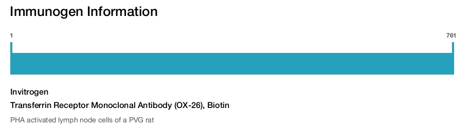 Transferrin Receptor Monoclonal Antibody (OX-26), Biotin
