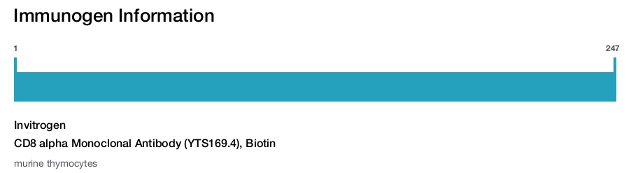 CD8 alpha Monoclonal Antibody (YTS169.4), Biotin