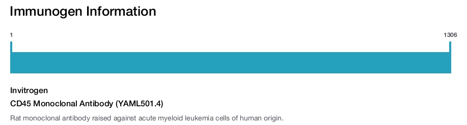 CD45 Monoclonal Antibody (YAML501.4)