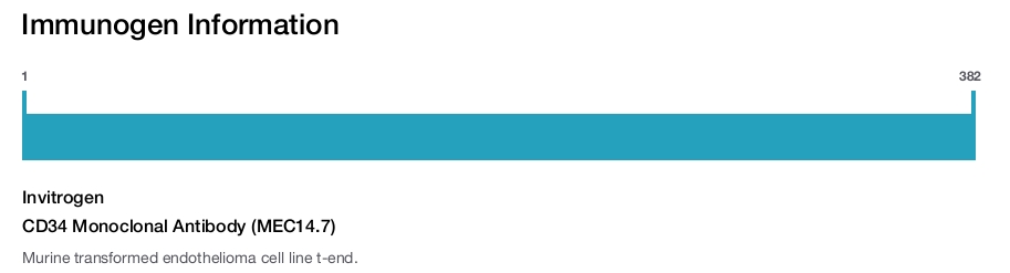 CD34 Monoclonal Antibody (MEC14.7)