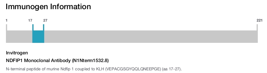NDFIP1 Monoclonal Antibody (N1Nterm1532.8)