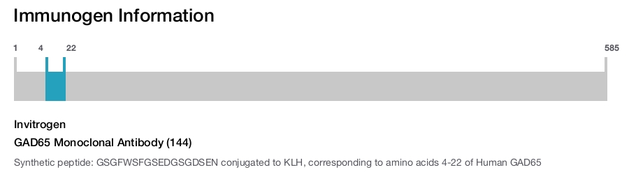 GAD65 Monoclonal Antibody (144)