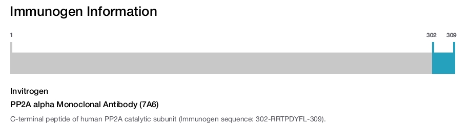 PP2A alpha Monoclonal Antibody (7A6)