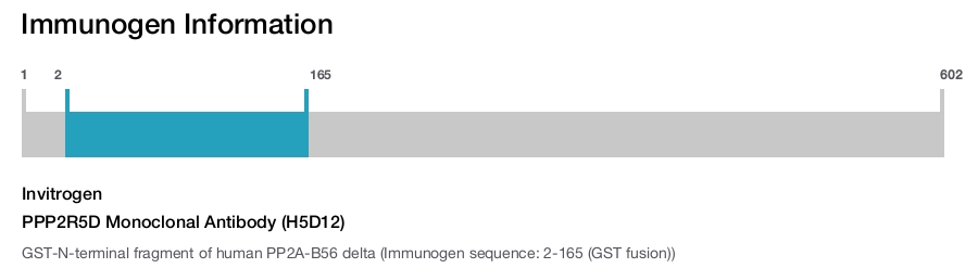 PPP2R5D Monoclonal Antibody (H5D12)