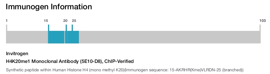 H4K20me1 Monoclonal Antibody (5E10-D8), ChIP-Verified