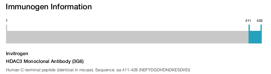 HDAC3 Monoclonal Antibody (3G6)