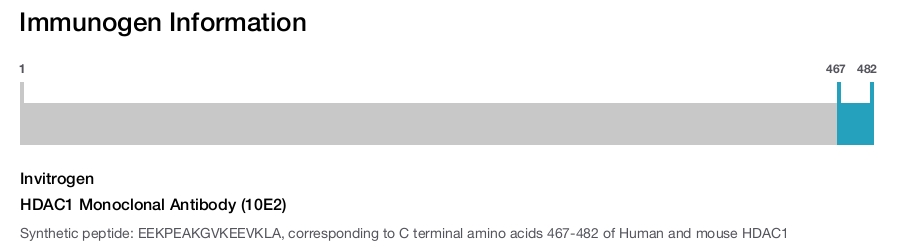 HDAC1 Monoclonal Antibody (10E2)