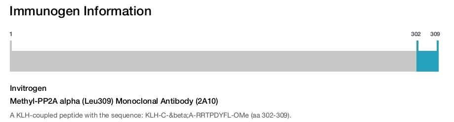 Methyl-PP2A alpha (Leu309) Monoclonal Antibody (2A10)