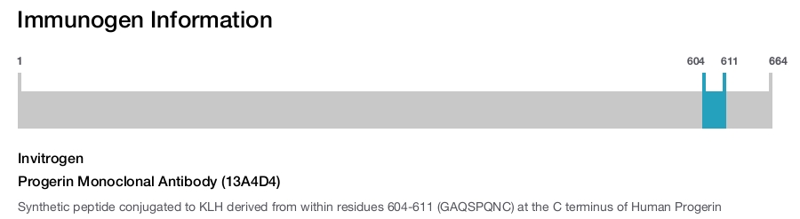 Progerin Monoclonal Antibody (13A4D4)