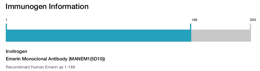 Emerin Monoclonal Antibody (MANEM1(5D10))