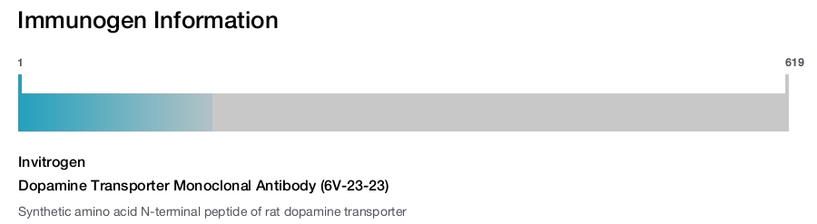 Dopamine Transporter Monoclonal Antibody (6V-23-23)