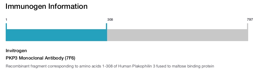 PKP3 Monoclonal Antibody (7F6)