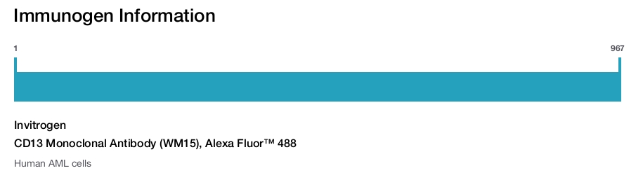 CD13 Monoclonal Antibody (WM15), Alexa Fluor™ 488