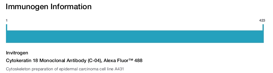 Cytokeratin 18 Monoclonal Antibody (C-04), Alexa Fluor&trade; 488