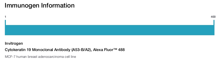 Cytokeratin 19 Monoclonal Antibody (A53-B/A2), Alexa Fluor™ 488