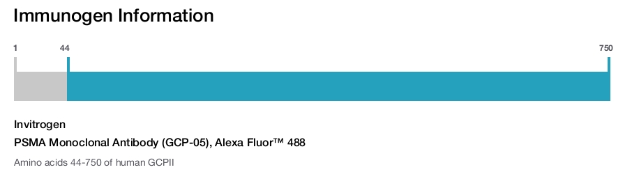 PSMA Monoclonal Antibody (GCP-05), Alexa Fluor™ 488