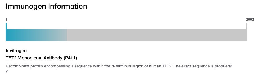TET2 Monoclonal Antibody (P411)