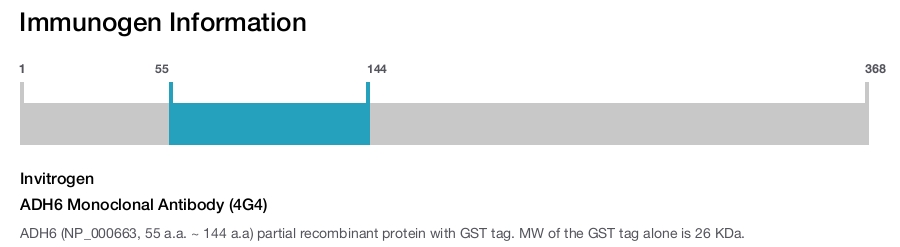 ADH6 Monoclonal Antibody (4G4)
