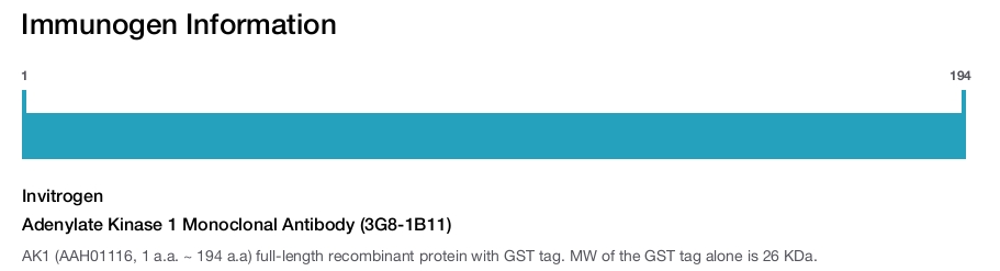 Adenylate Kinase 1 Monoclonal Antibody (3G8-1B11)