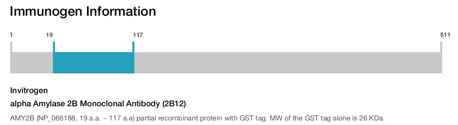 alpha Amylase 2B Monoclonal Antibody (2B12)