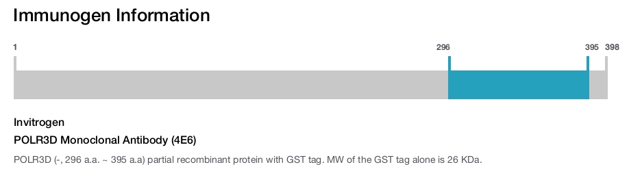 POLR3D Monoclonal Antibody (4E6)