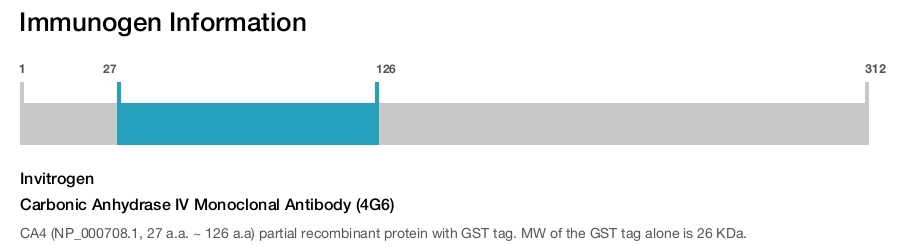 Carbonic Anhydrase IV Monoclonal Antibody (4G6)