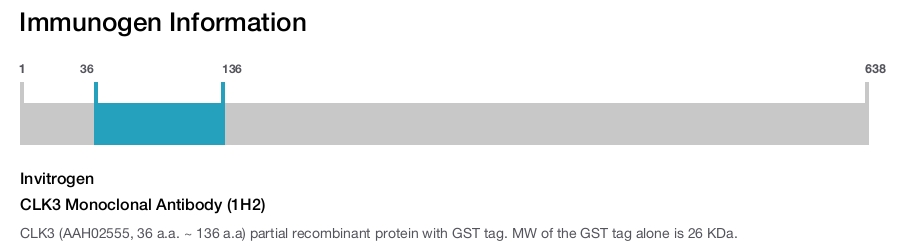 CLK3 Monoclonal Antibody (1H2)