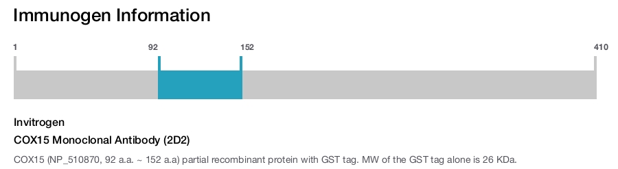 COX15 Monoclonal Antibody (2D2)