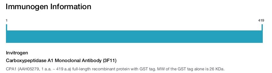 Carboxypeptidase A1 Monoclonal Antibody (3F11)