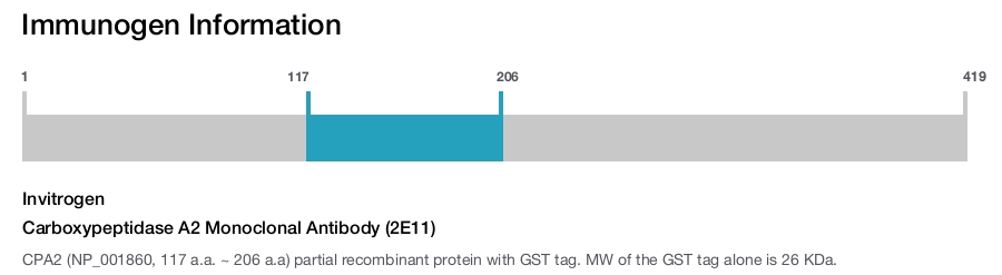 Carboxypeptidase A2 Monoclonal Antibody (2E11)
