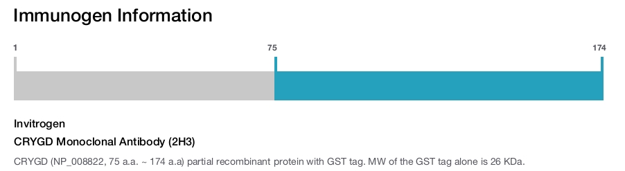 CRYGD Monoclonal Antibody (2H3)