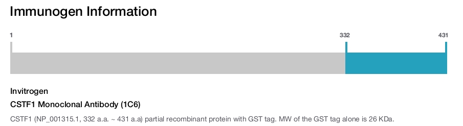 CSTF1 Monoclonal Antibody (1C6)