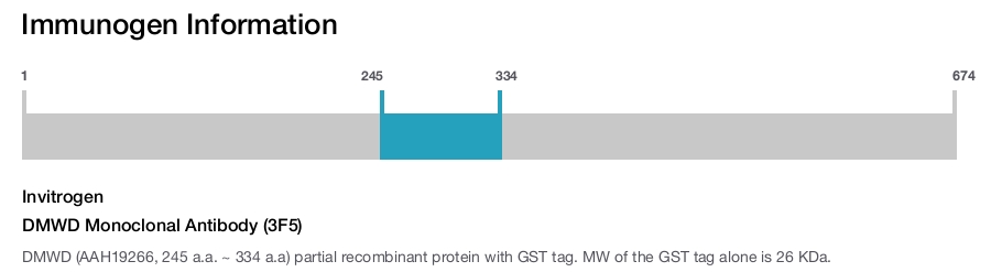DMWD Monoclonal Antibody (3F5)