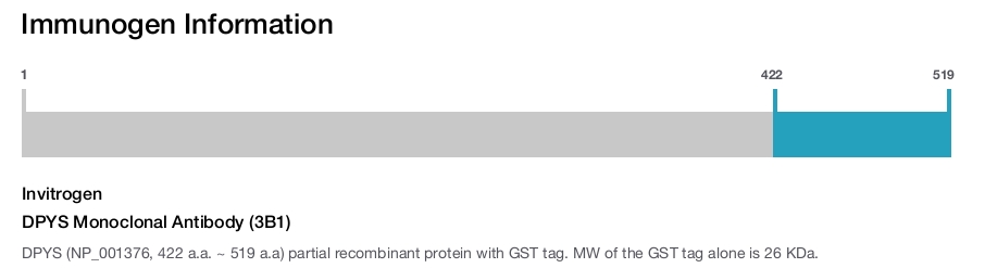 DPYS Monoclonal Antibody (3B1)