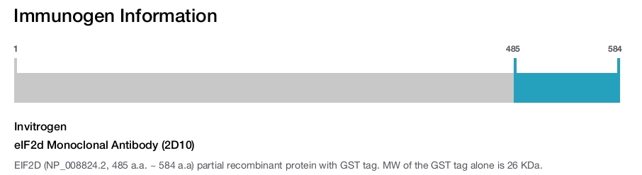 eIF2d Monoclonal Antibody (2D10)