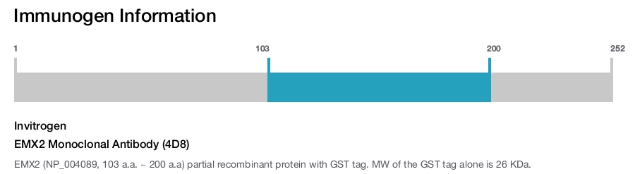 EMX2 Monoclonal Antibody (4D8)