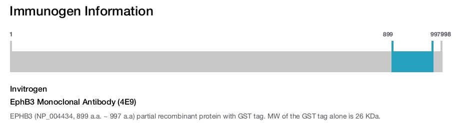 EphB3 Monoclonal Antibody (4E9)